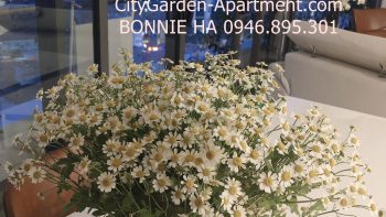 z7187349531700 706de1dc27421656ee8dc978a9a2647c