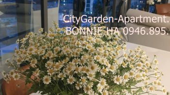 z7260696901556 70e8cbecedc7306ad97ea308b4054dae